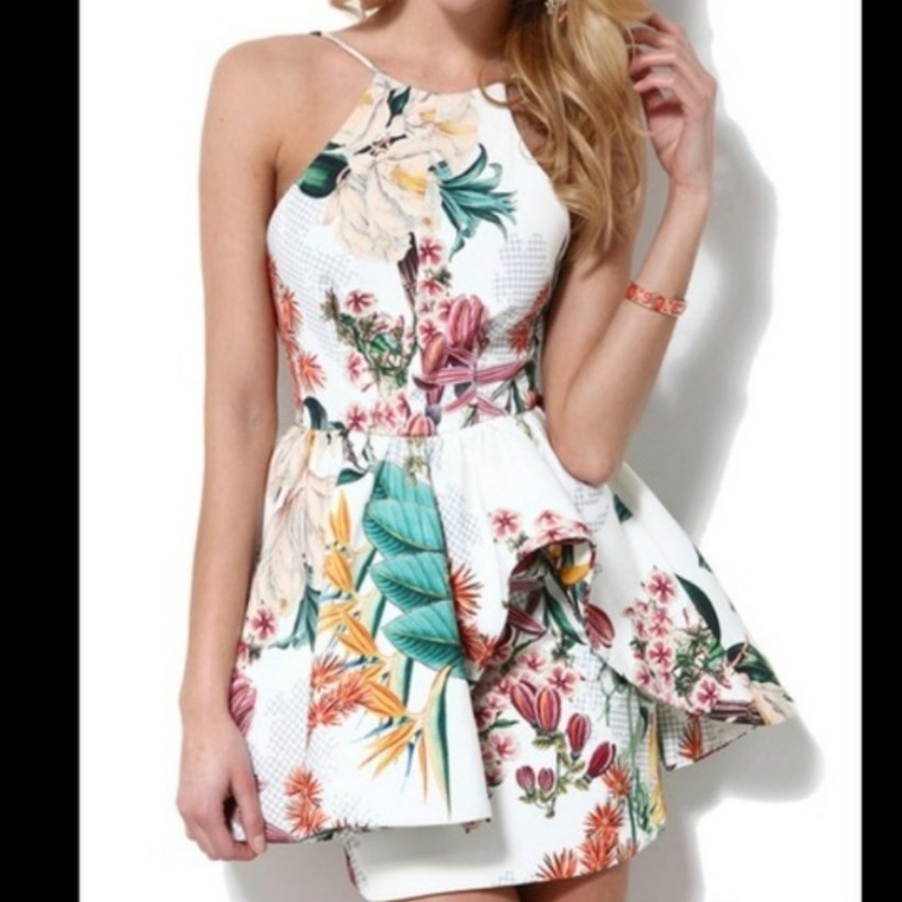 C/MEO - Cameo Botanical Peplum Dress - Worn Once